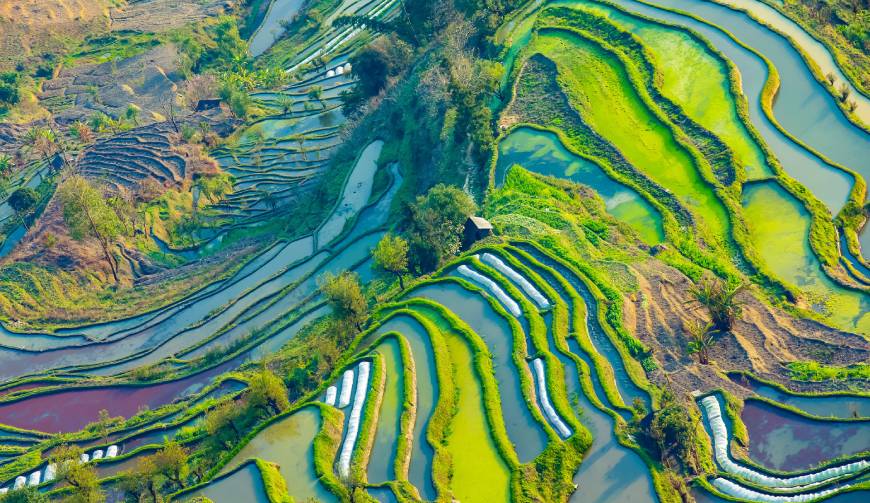 走进荔波县TVC拍摄：解锁本地化场景与创意镜头的完美融合